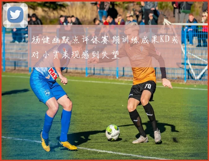 杨健幽默点评休赛期训练成果KD或对小贾表现感到失望