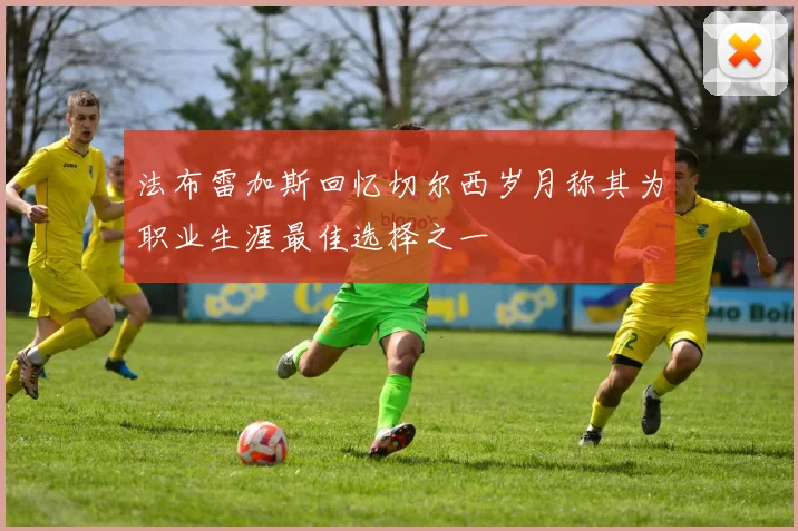 法布雷加斯回忆切尔西岁月称其为职业生涯最佳选择之一